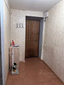1-к кв. Москва Туристская ул., 31К1 (41.8 м)