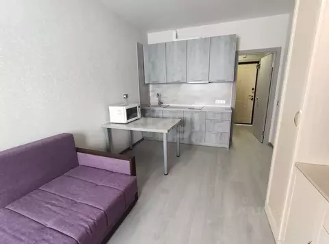 Студия Ленинградская область, Кудрово г. Всеволожский район, Заневское ...