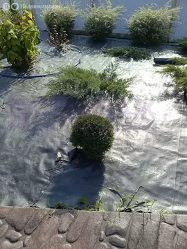 Участок в Белогорский район, Земляничненское сельское поселение, село ...