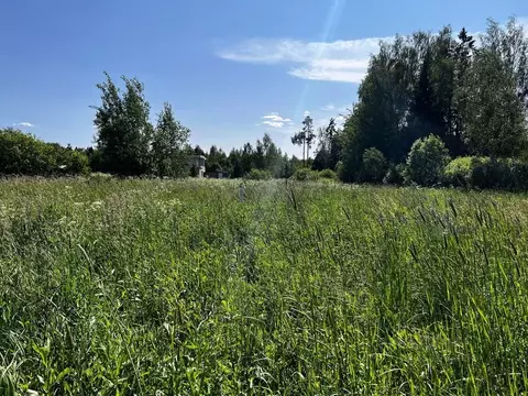 Участок в Московская область, Клин городской округ, Акатово парк кп  ...