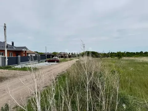 Участок в Воронежская область, Новоусманский район, Никольское с/пос, ...