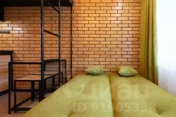 1-к кв. Московская область, Дзержинский Лесная ул., 15а (15.0 м)