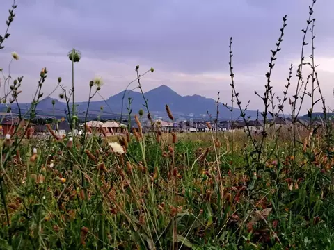 Участок в Ставропольский край, Предгорный муниципальный округ, ...
