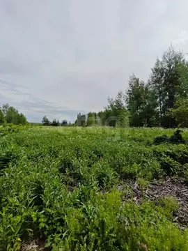 Участок в Тверская область, Калининский муниципальный округ, д. ...