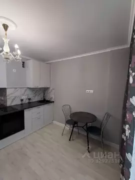 Студия Самарская область, Самара Физкультурная ул., 103А (25.0 м)