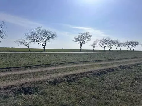 Участок в Крым, Сакский район, с. Молочное ул. Садовая (1100.0 сот.)