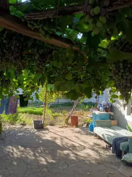 Дом в Крым, Сакский район, Крайненское с/пос, с. Трудовое ул. Школьная ...