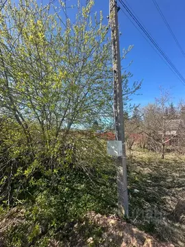 Участок в Псковская область, Псковский район, Логозовская волость, д. ...