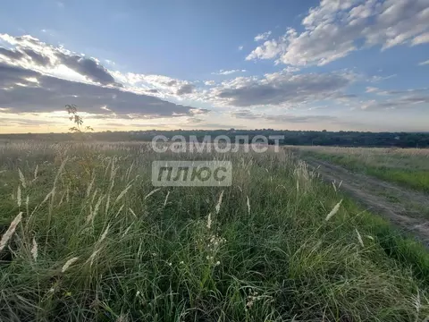 Участок в Курская область, Курский район, Новопоселеновский сельсовет, ...