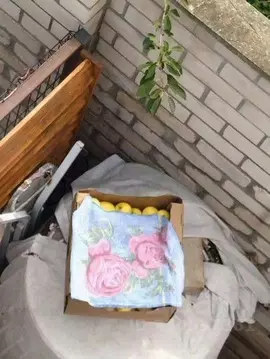 Участок в Белгородская область, Старооскольский городской округ, с. ...