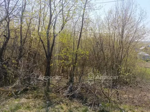 Участок в Рязанская область, Рыбновский муниципальный округ, с. ...