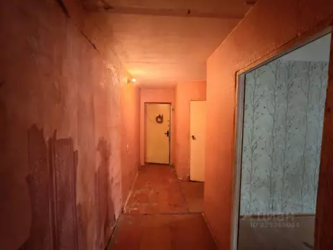 3-к кв. Нижегородская область, Бор Октябрьская ул., 92 (52.0 м)