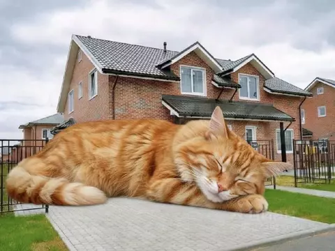 Дом в Ленинградская область, Всеволожский район, Агалатовское с/пос, ...