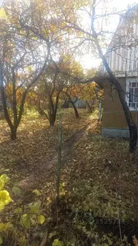 Участок в Ленинградская область, Тосненский район, Трубникоборское ...