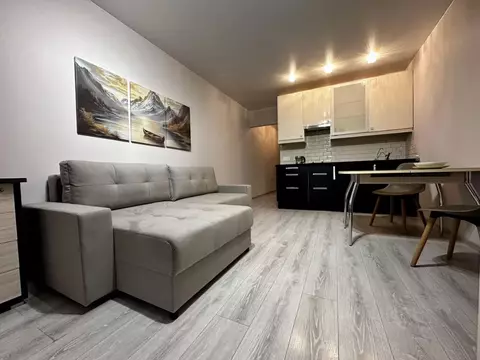 Студия Санкт-Петербург Варшавская ул., 6к1 (28.0 м)