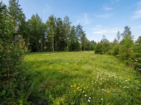 Участок в Ленинградская область, Гатчинский муниципальный округ, Чаща ...