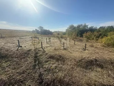 Участок в Белгородская область, Белгородский район, Дубовское с/пос, ...
