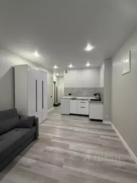 Студия Московская область, Балашиха ул. Романычева, 5 (25.0 м)