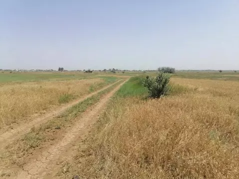 Участок в Волгоградская область, Светлоярский район, с. Большие ...