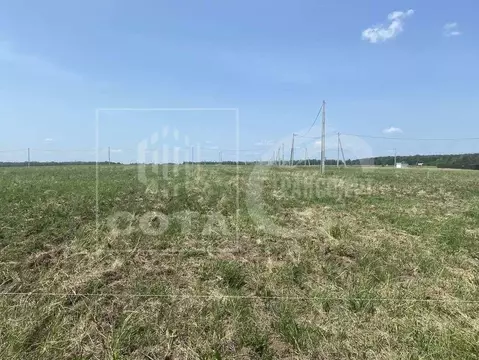 Участок в Воронежская область, Рамонский район, Новоживотинновское ...