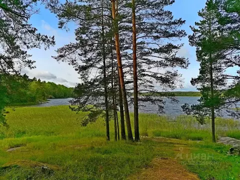 Участок в Карелия, Сортавальский муниципальный округ, пос. ...