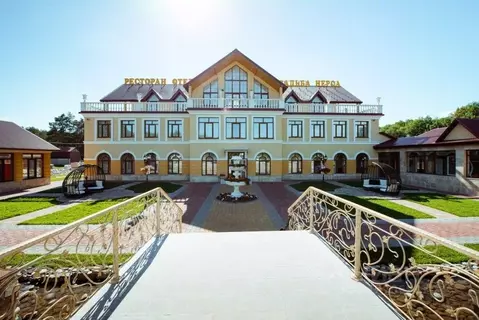 Комната Тамбовская область, Тамбовский муниципальный округ, с. Большая ...