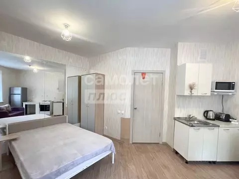 Студия Пермский край, Пермь Бершетский пер., 3 (27.0 м)