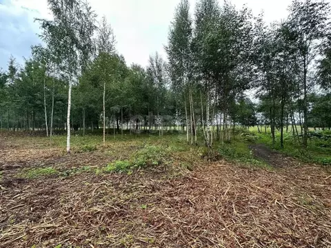 Участок в Санкт-Петербург, Санкт-Петербург, Павловск Павлов Скай кп,  ...