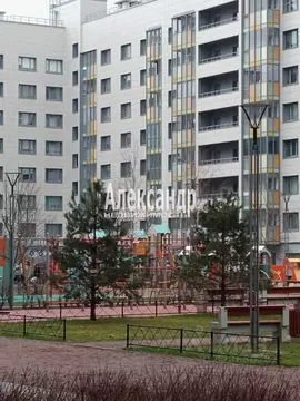 Студия Санкт-Петербург ул. Среднерогатская, 13к1 (25.2 м)