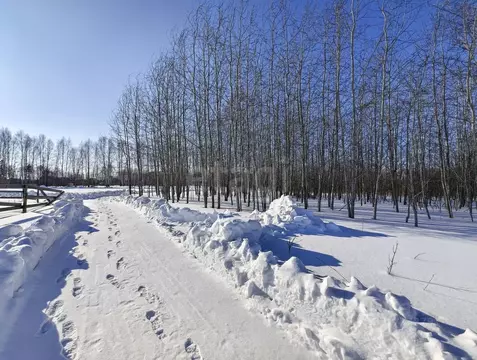 Участок в Тюменская область, Нижнетавдинский муниципальный округ, ...