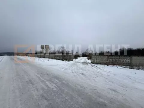 Участок в Белгородская область, Белгородский район, Беломестненское ...