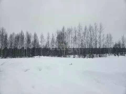 Участок в Владимирская область, Ковров ул. Отрадная (10.5 сот.)