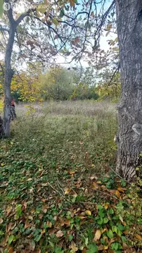 Участок в Истоминское сельское поселение, СНТ Лазурный (6 м)