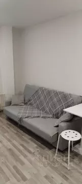 Студия Ленинградская область, Мурино Всеволожский район, ул. Графская, ...