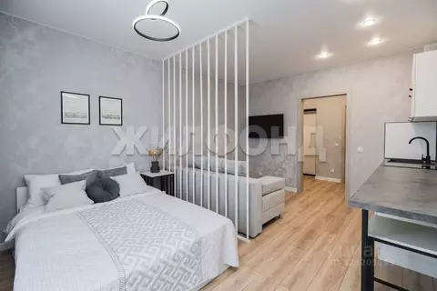 1-к кв. Новосибирская область, Новосибирск Игарская ул., 33 (26.8 м)