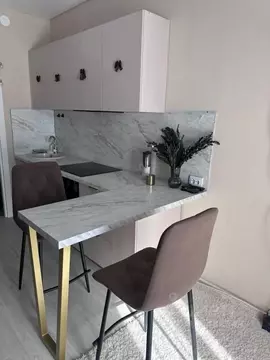 Студия Санкт-Петербург пос. Шушары, просп. Старорусский, 5к2 (23.7 м)