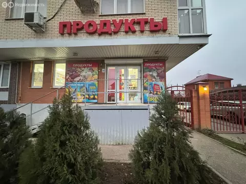 Помещение свободного назначения (52.2 м)