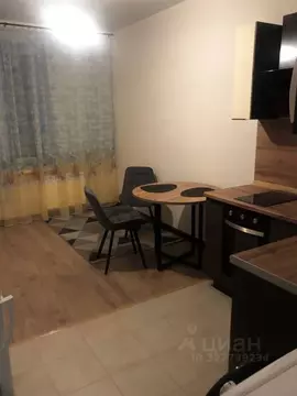 Студия Московская область, Балашиха ул. Безымянная, 10 (23.0 м)