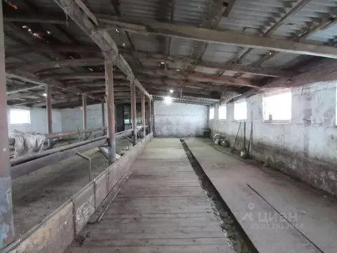 Участок в Волгоградская область, Ленинский район, пос. Рассвет Степная ...