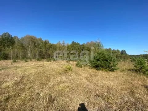 Участок в Брянская область, Брянский район, Новодарковичское с/пос, д. ...