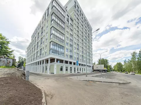 2-комнатная квартира: Петрозаводск, улица Ригачина, 40 (52.58 м)