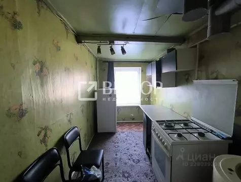 Дом в Ивановская область, Шуя Палехская ул., 20 (46 м)