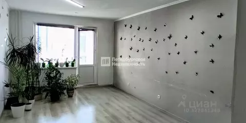 Студия Ленинградская область, Ломоносовский район, Виллозское ...