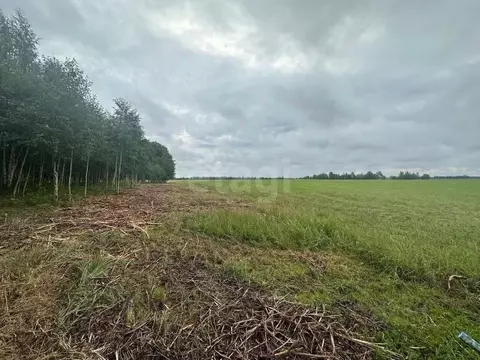 Участок в Санкт-Петербург, Санкт-Петербург, Павловск Павлов Скай кп,  ...