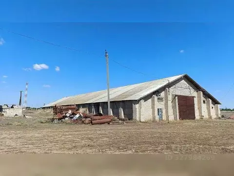 Склад в Волгоградская область, Среднеахтубинский район, ...