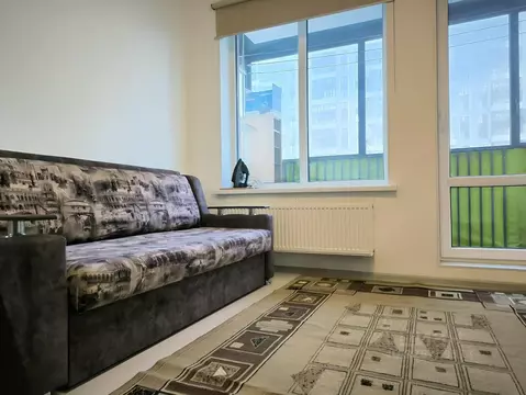 Студия Санкт-Петербург аллея Арцеуловская, 19 (25.0 м)