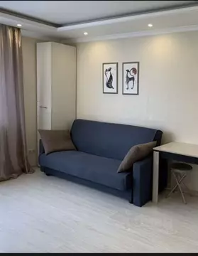 Студия Московская область, Домодедово Южный мкр, ул. Курыжова, 30 ...