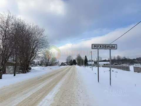 Участок в Ленинградская область, Ломоносовский район, Лопухинское ...