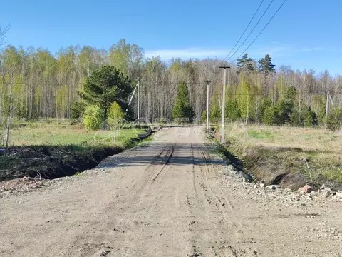 Участок в Тюменская область, Нижнетавдинский район, с. Тюнево  (7.0 ...