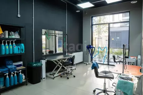 Торговая площадь в Новосибирская область, Новосибирск ул. Никитина, 10 ...